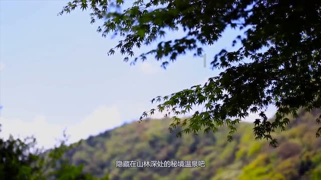 全民烧脑3去广告版