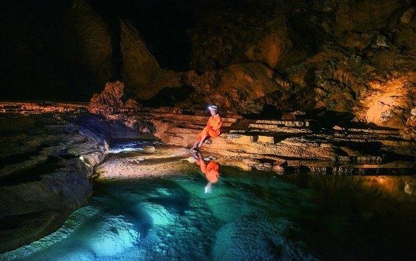 奥日与黑暗森林