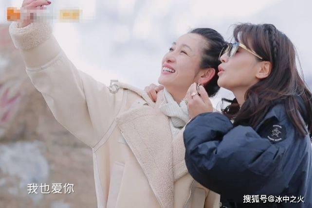 虫虫助手下载