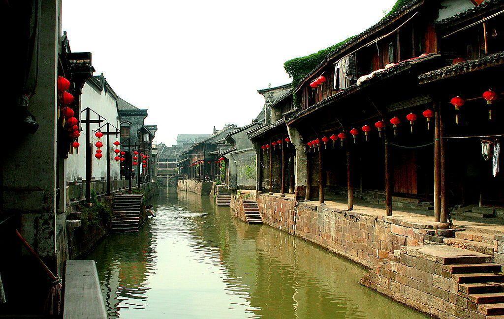 它被称为“天然钙库”,错过可惜了!孩子经常吃,益智健脑长大个