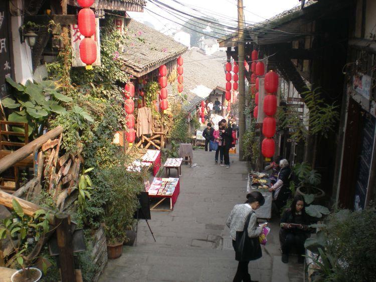 植物大战僵尸15