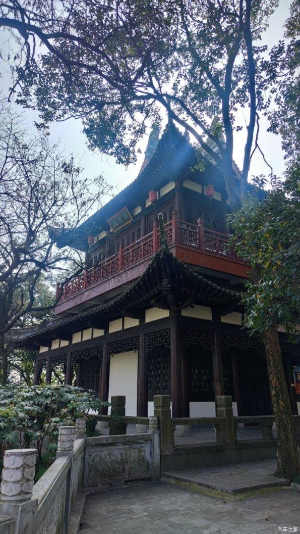 植物大战僵尸19