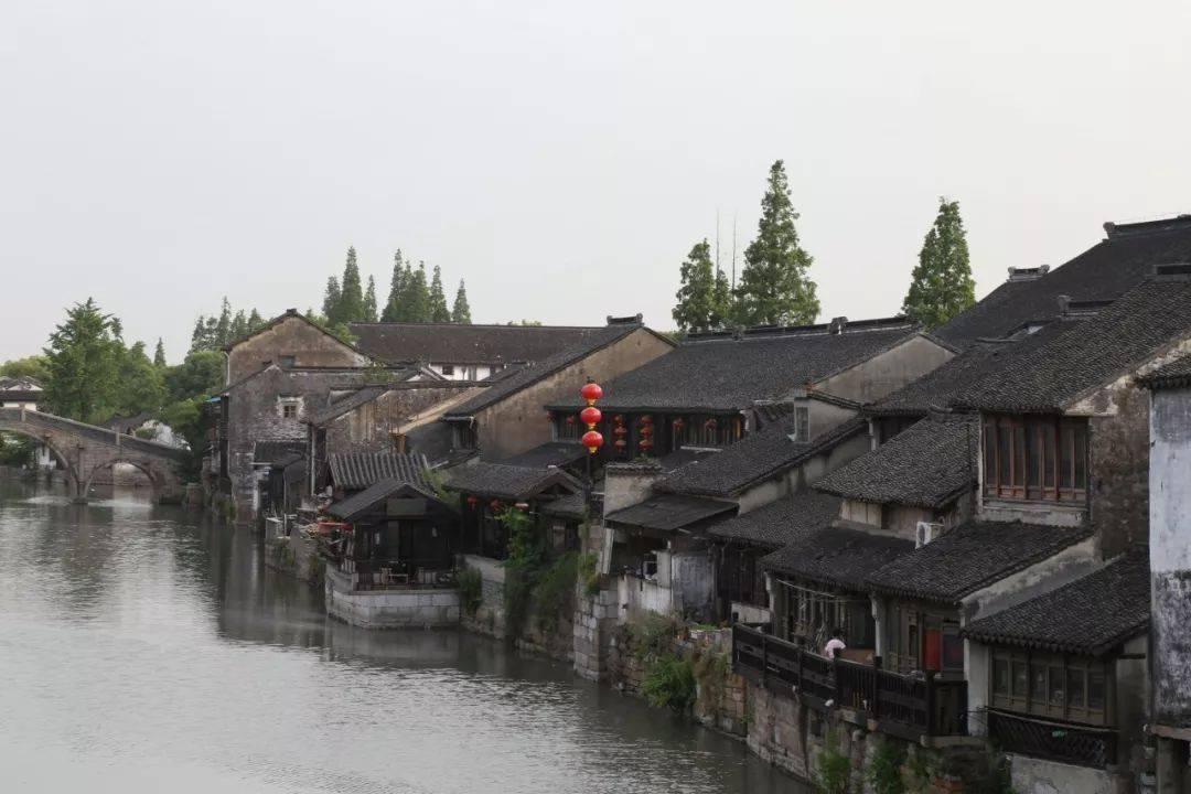组装机械恐龙3